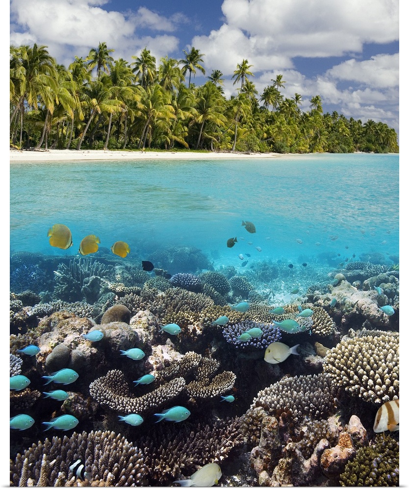Tropical Lagoon in South Ari Atoll in the Maldives in the Indian Ocean (digital composite).