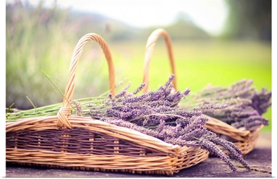 Two baskets full of lavender.