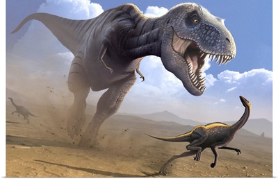 Tyrannosaurus rex dinosaur hunting an Ornithomimus dinosaur.