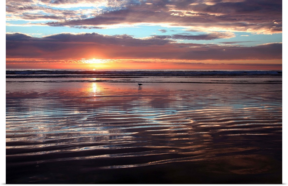 USA, California, Morro Strand State Beach, Sunset over the ocean