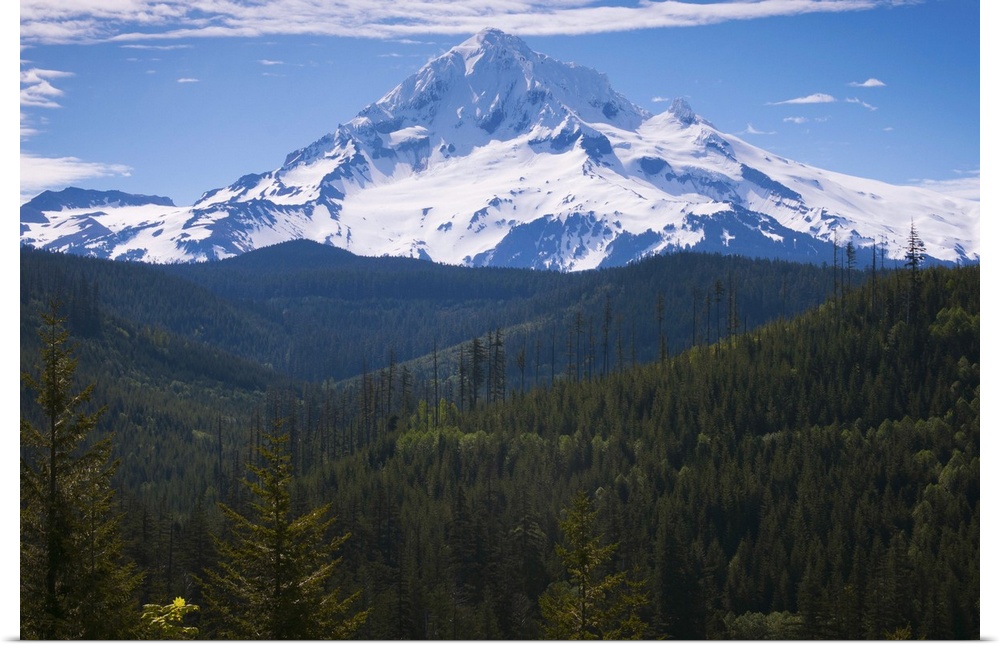 USA, Oregon, View of Mount Hood