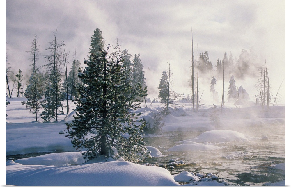 USA, Wyoming, Yellowstone National Park, Thumb Geyser Basin, winter