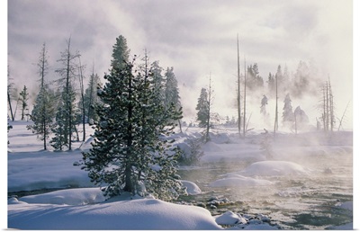 USA, Wyoming, Yellowstone National Park, winter