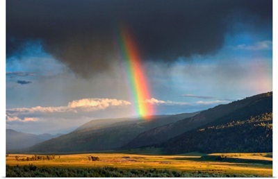 Very intensive rainbow in part of Lamar Valley in Yellowstone National Park
