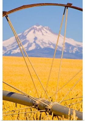 View of Mount Hood through farming equipment, Oregon, USA