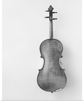 Violin against white background, close-up