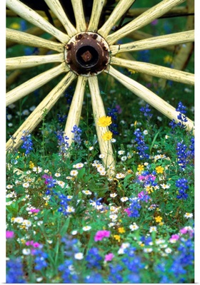 Wagon Wheel Sitting Among Wildflowers