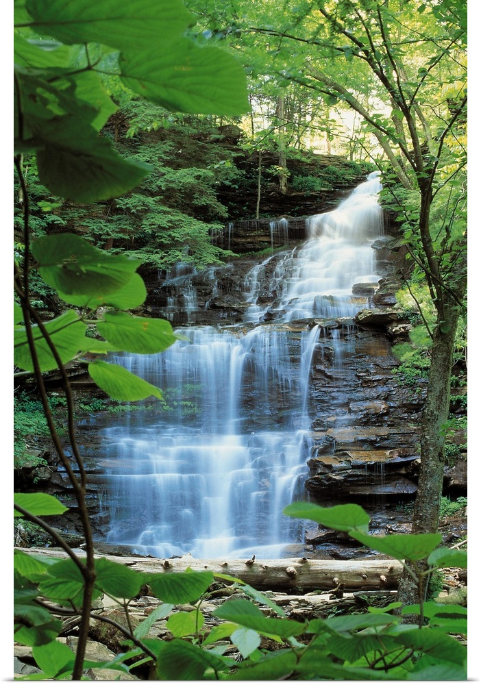 Waterfall at Rickets Glen State Park , Pennsylvania