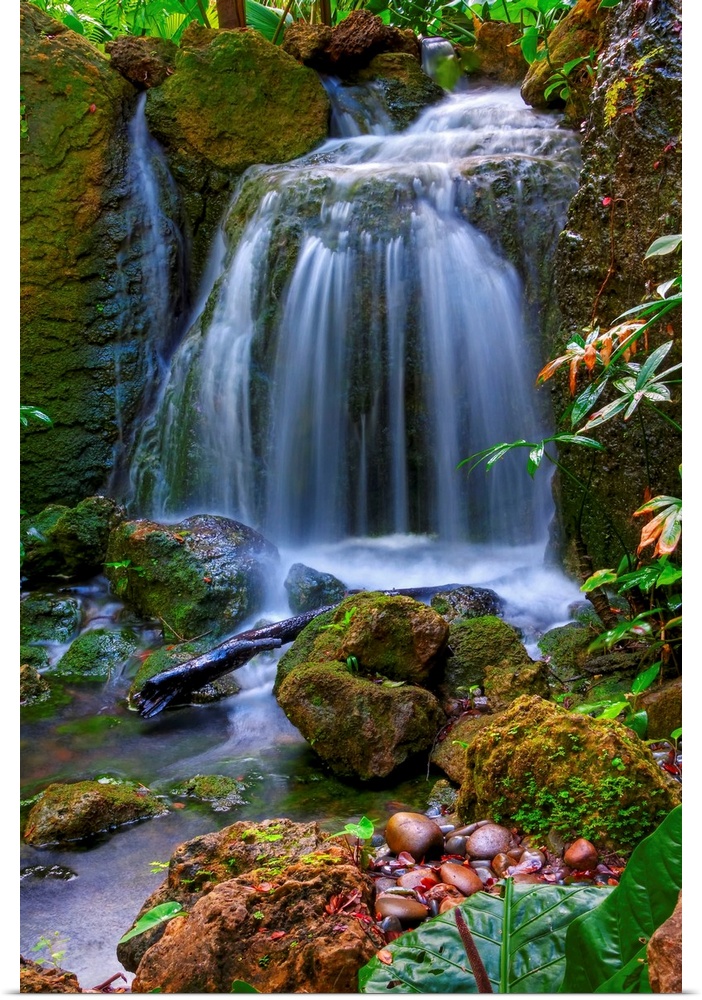 Photograph of cascading water falling into a rocky stream in colorful forest.