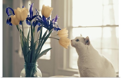 White cat smelling a bouquet of flowers