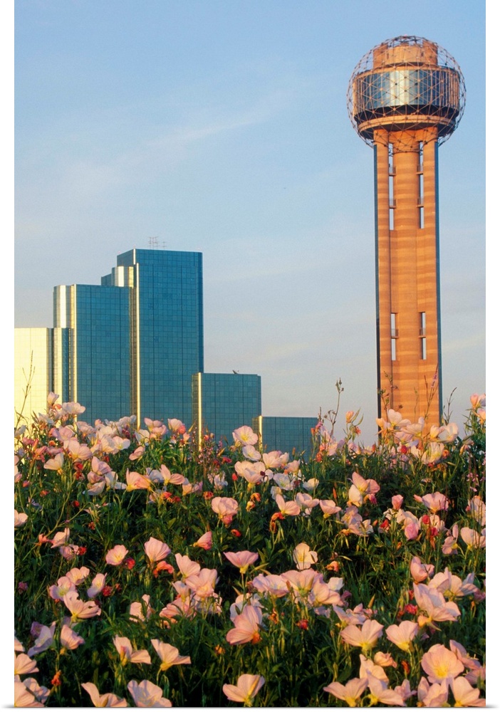 'Wildflowers and Dallas, TX skyline at sunset with Reunion Tower'