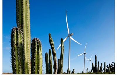 Wind Turbines And Cactus At Aruba