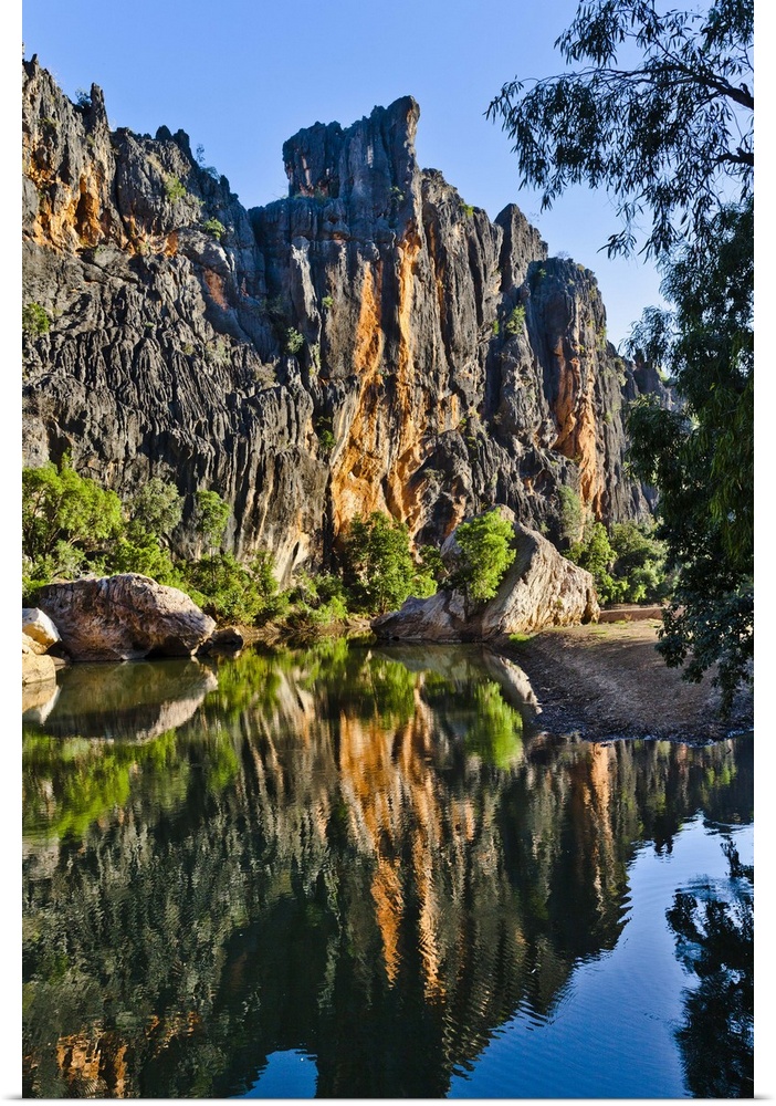 Australia, Western Australia, Kimberley, Windjana Gorge National Parkthe steep walls of the Devonian reef reflect in a bil...