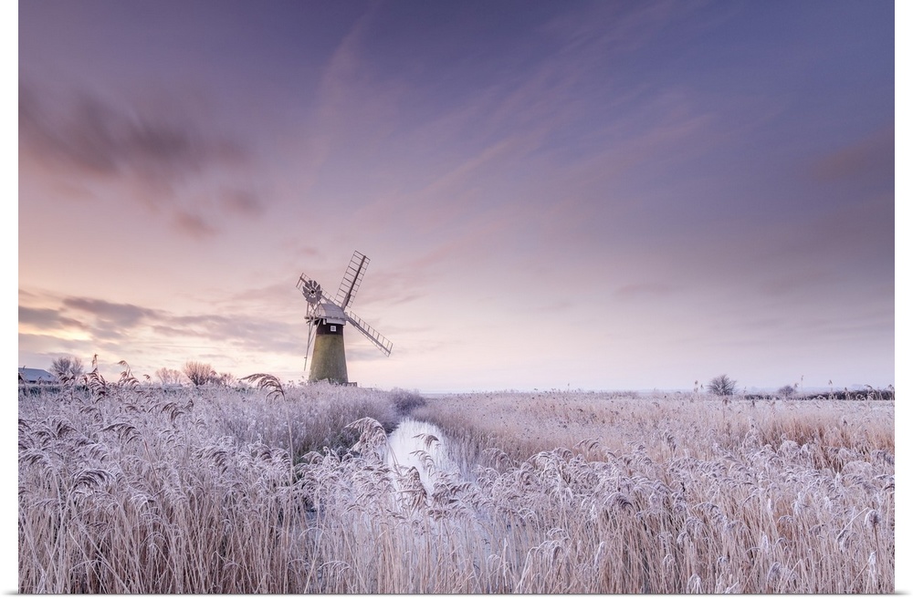 Frost on the reeds in front of St. Bennets mill at sunrise on the Norfolk Broads.