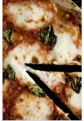 Wood-fired cheese pizza