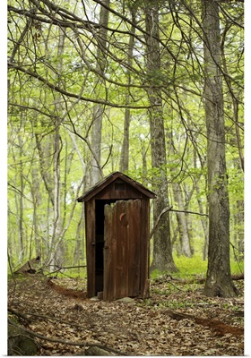 Wooden outhouse in the forest