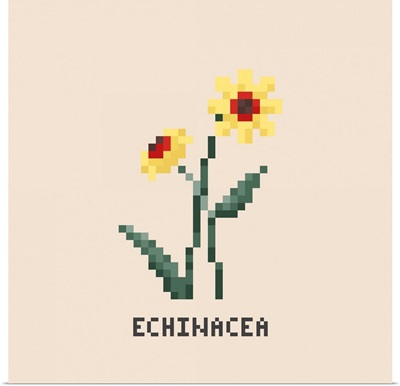 Yellow Echinacea Pixel Art