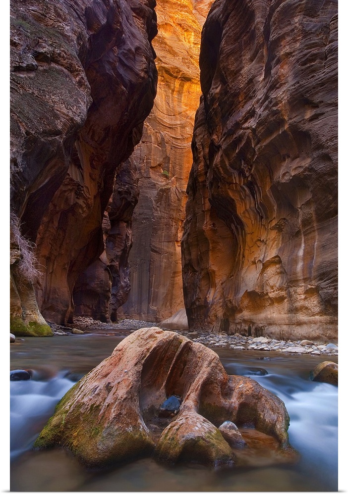 Zion River Narrows are one of most spectacular hikes in Zion National Park, Utah.