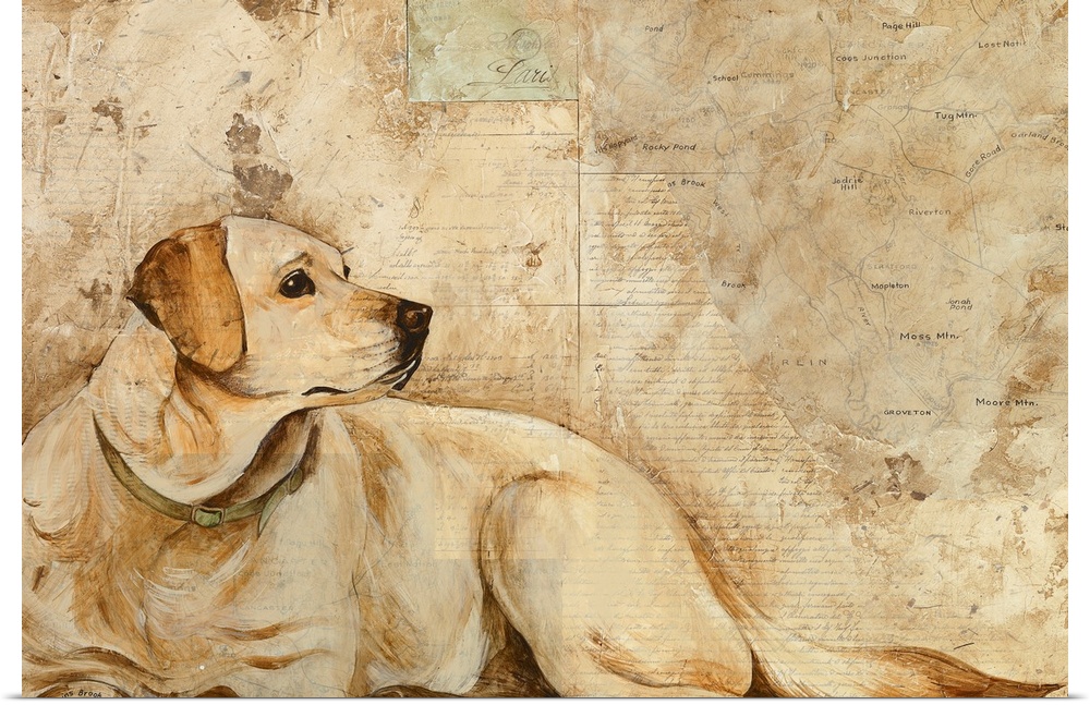 Artwork of a large dog that is drawn and almost blends in with the background that he lays in front of.