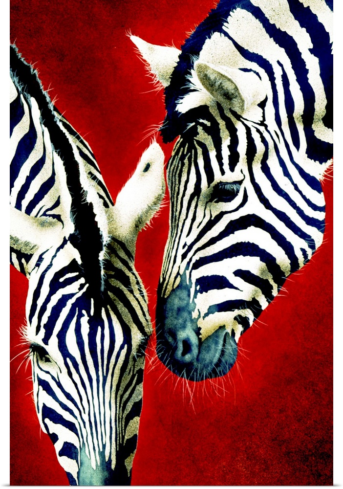 Panoramic contemporary art shows the heads of two zebras against a solid colored background with slight texture.