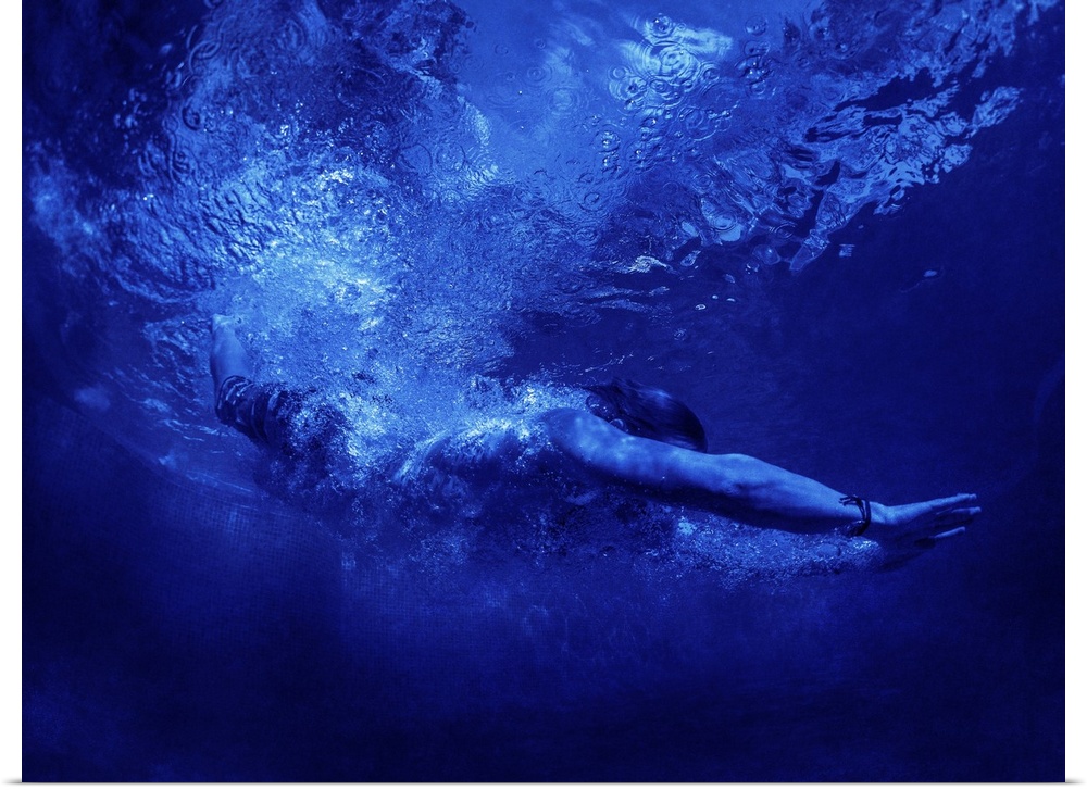Blue Swimmer 4