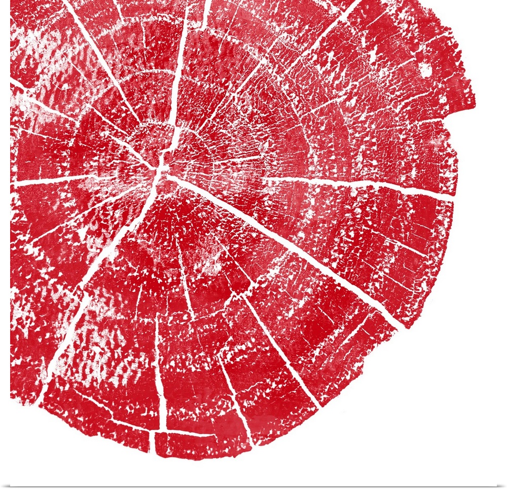 Cross-section of a tree trunk showing the rings in the wood in red.