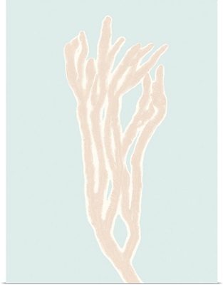 Coral 8