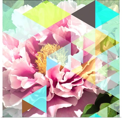 Crystalized Peonies