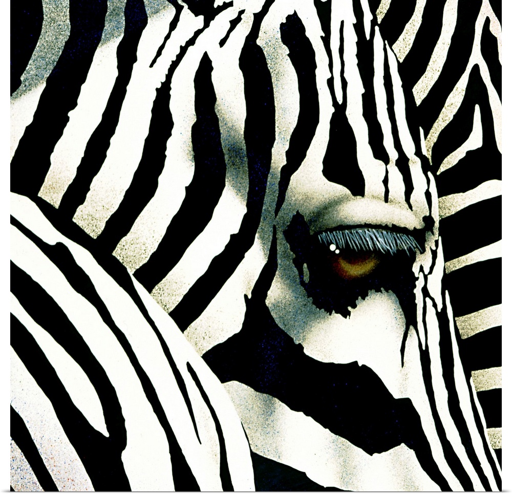 This is a very up close view of a zebra's head and eye with other parts of zebras shown in front of it's head and behind it.