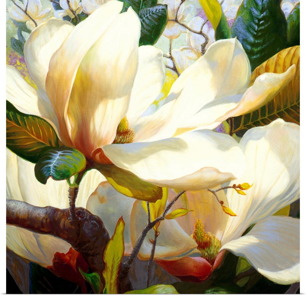 A square shaped painting that is a realistic rendering of magnolia blossoms and leaves in the bright sunlight.