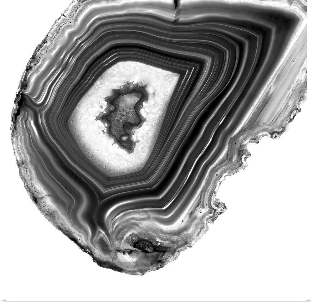 A macro photograph of agate in gray tones.