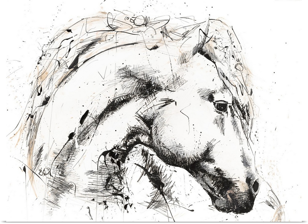 Horse With No Name 2
