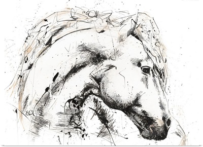 Horse With No Name 2