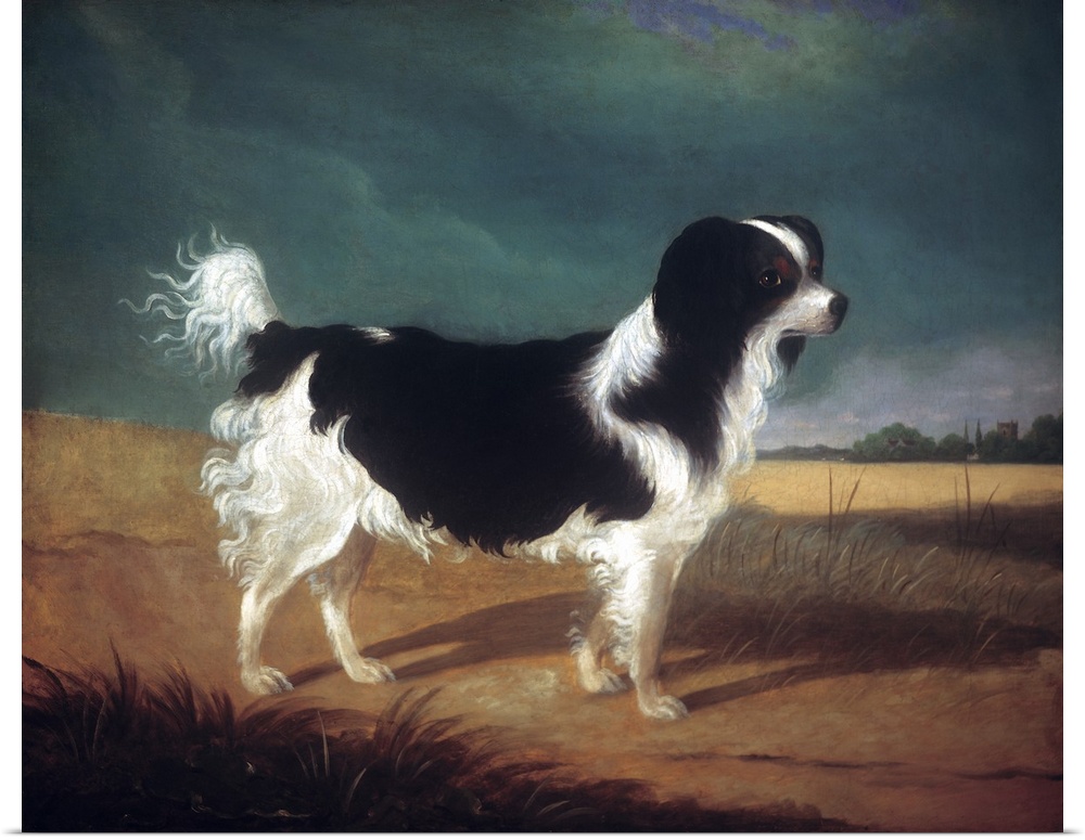 Classic painting of a black and white King Charles Spaniel dog.