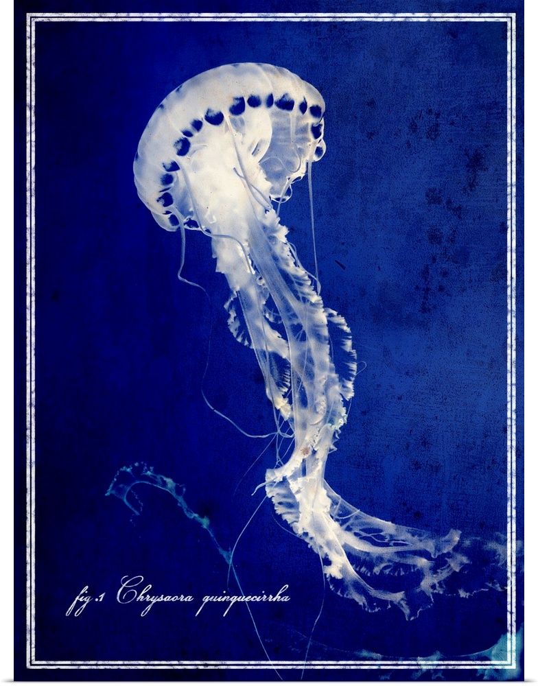 Big vertical wall hanging of a jellyfish on a deep blue background, with script text in the lower corner.