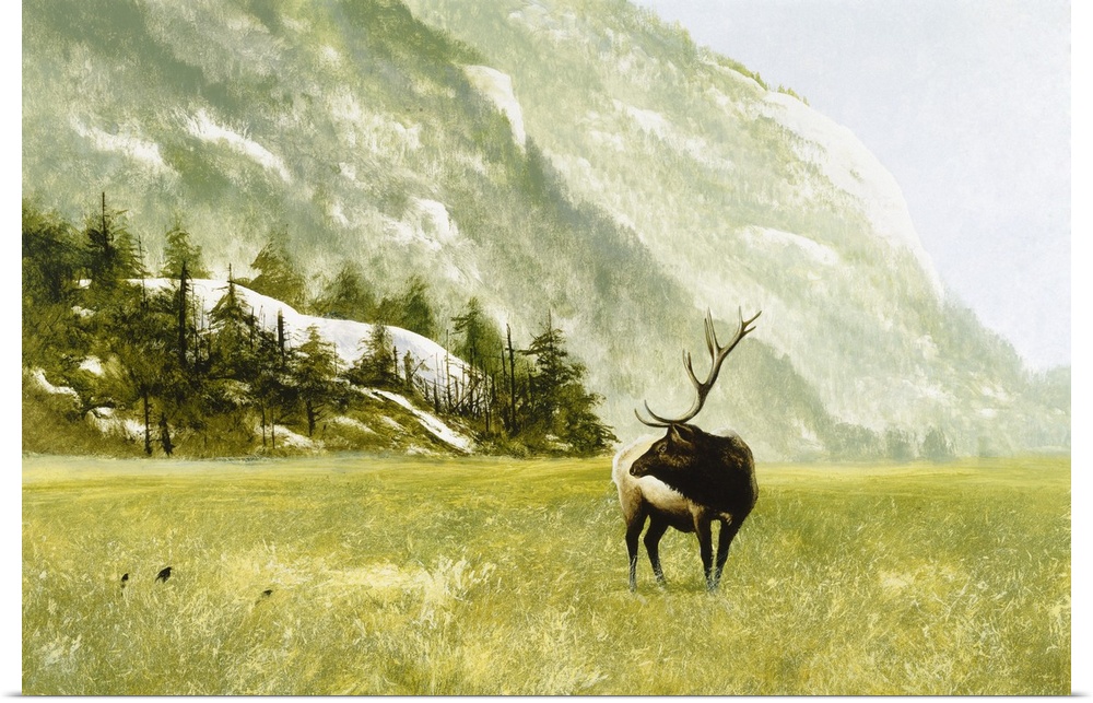 Contemporary painting of an elk standing in the middle of a snowy valley watching three black birds graze.