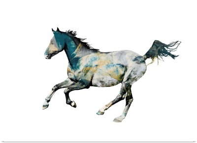 Painted Horses B