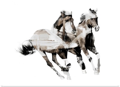 Painted Horses C