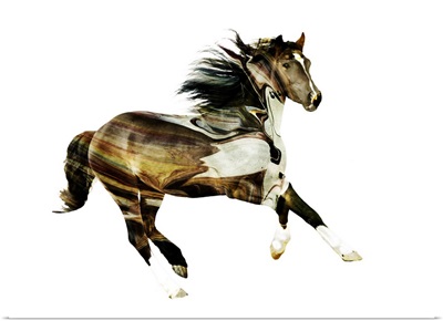 Painted Horses E