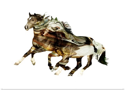 Painted Horses F