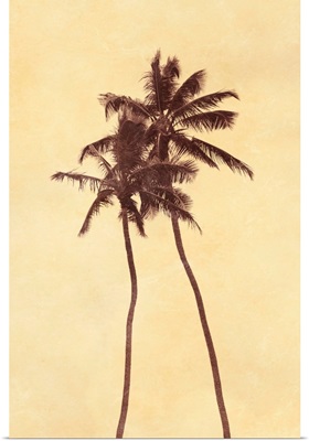 Palm Vista I