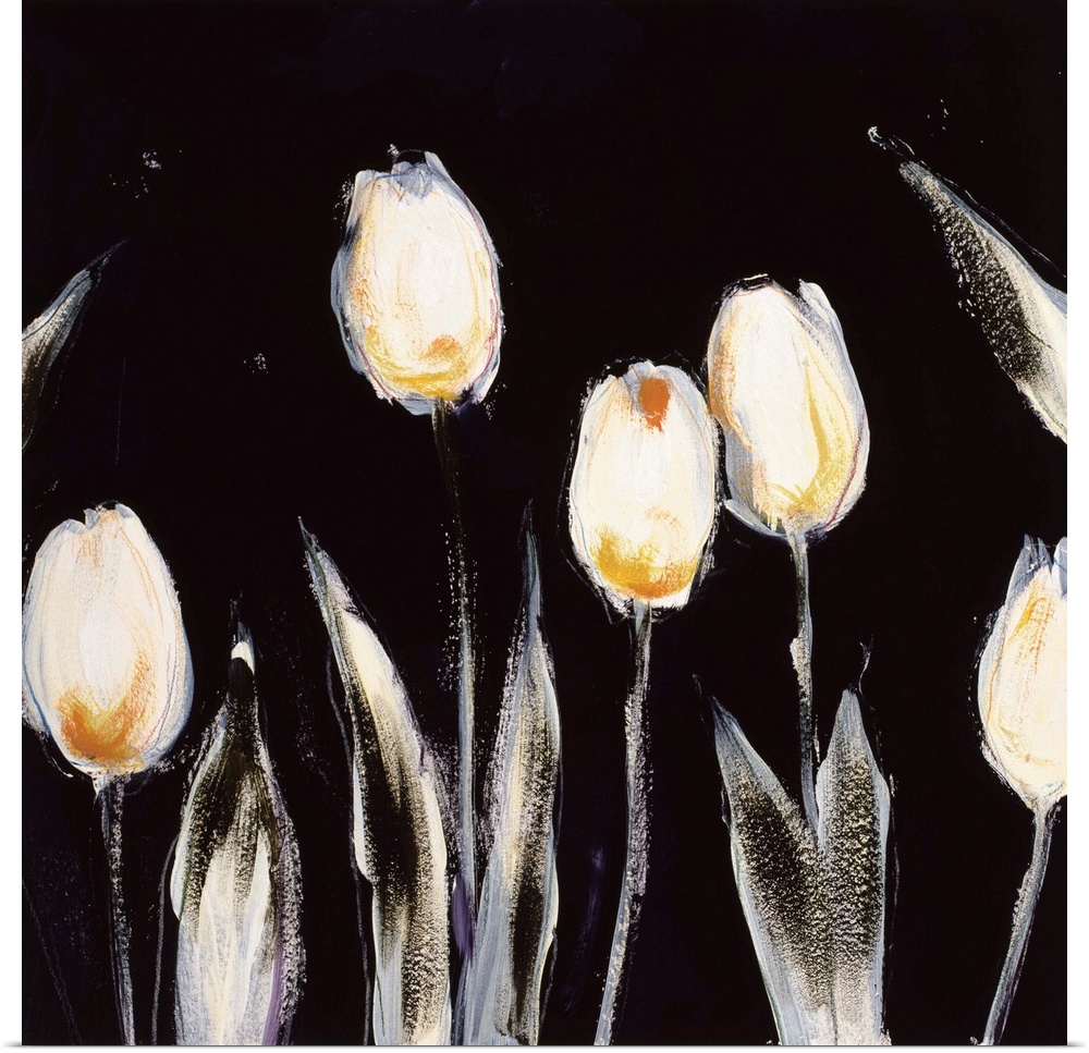 Succulent Tulips