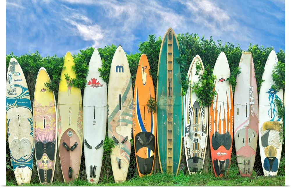 Several surfboards with various designs standing in a row.