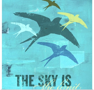The Sky is the Limit 1