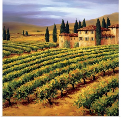 Villa in the Vinyards of Tuscany