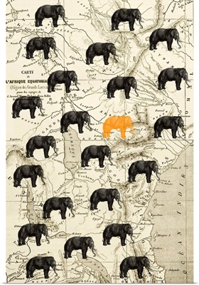 Where the Elephant Roam