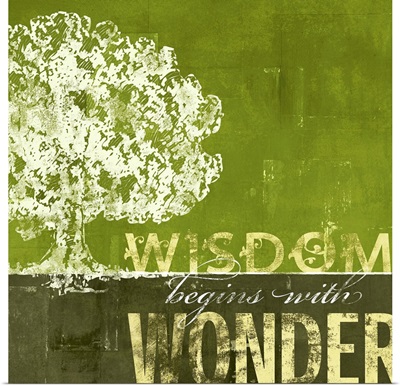 Wisdom Begins with Wonder
