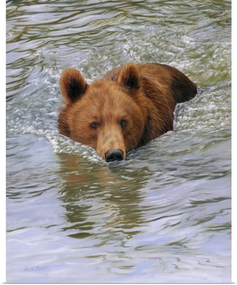 Bear Water