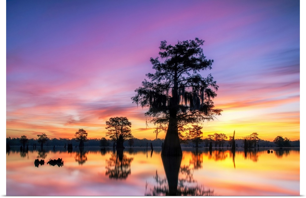 The sky above Louisiana's Henderson Swamp glows minutres before sunrise. This amazing swamp, which lies between Baton Roug...