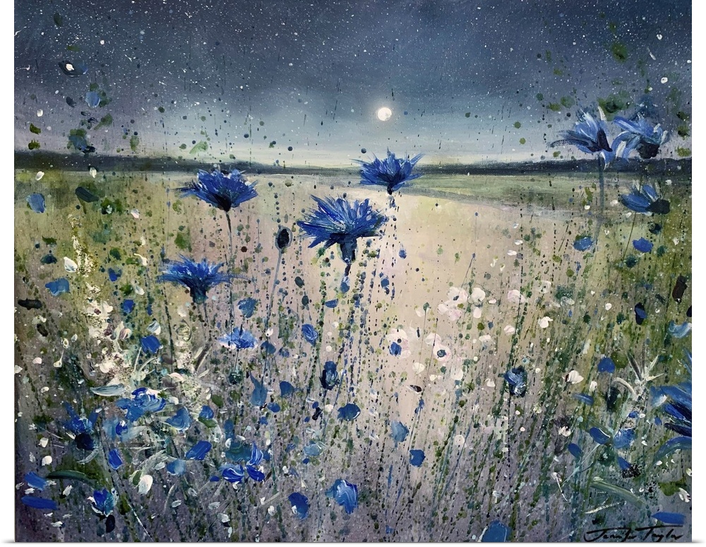 Cornflowers And The Moon No 1
